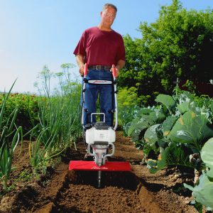 Mantis Distribution Services